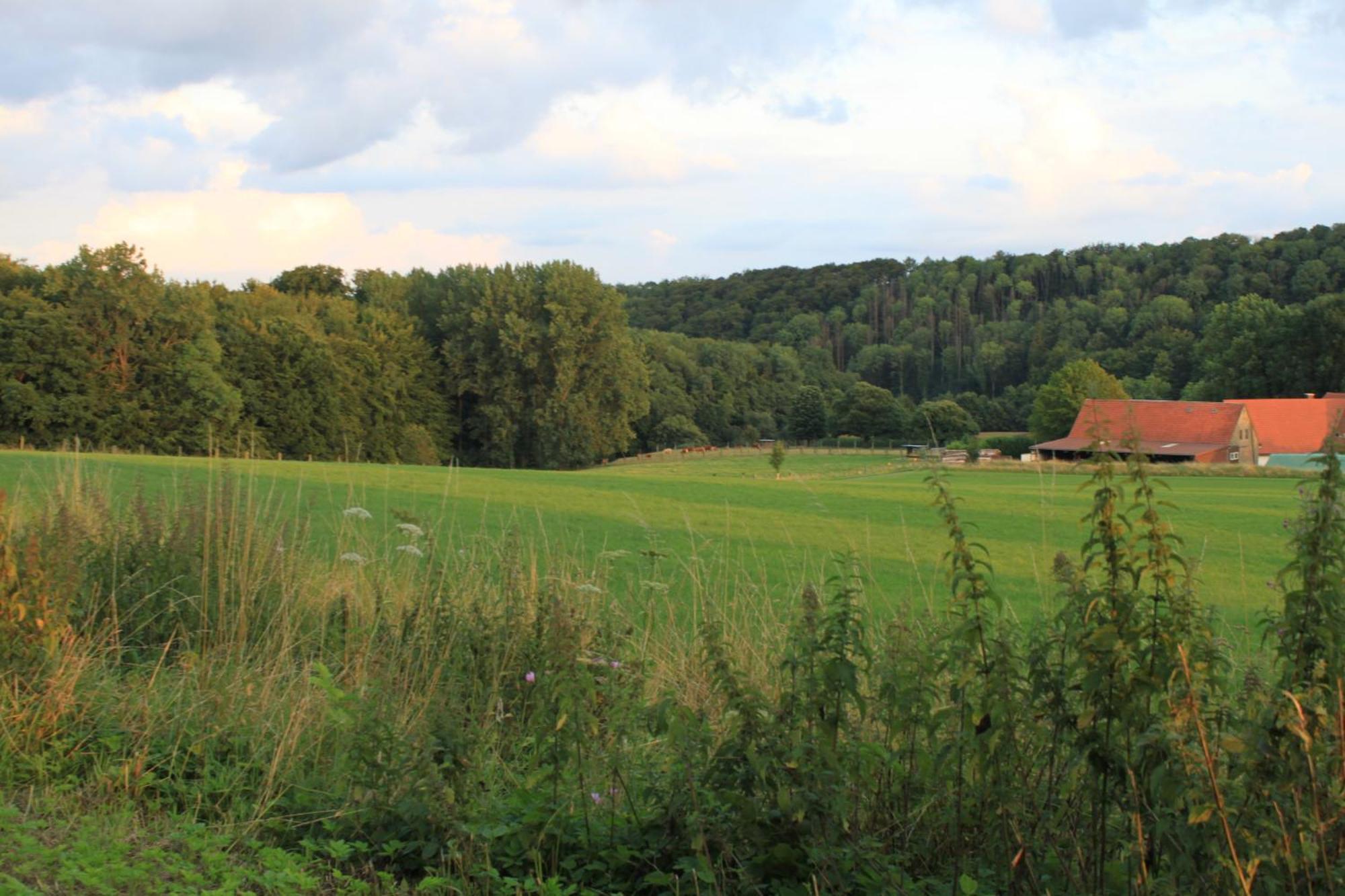 Fewo Harling - Waldsamkeit Bad Iburg Exteriör bild