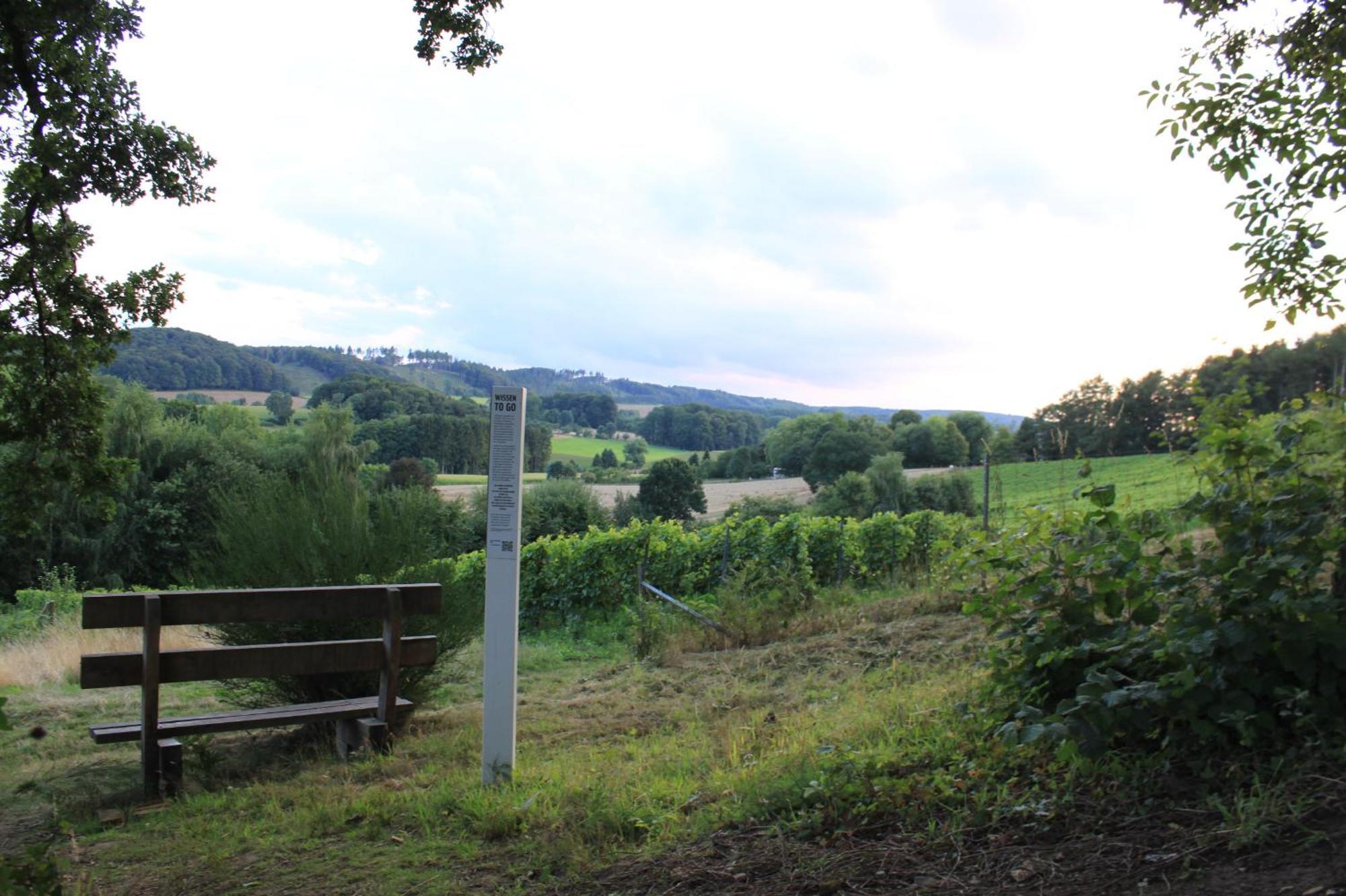 Fewo Harling - Waldsamkeit Bad Iburg Exteriör bild