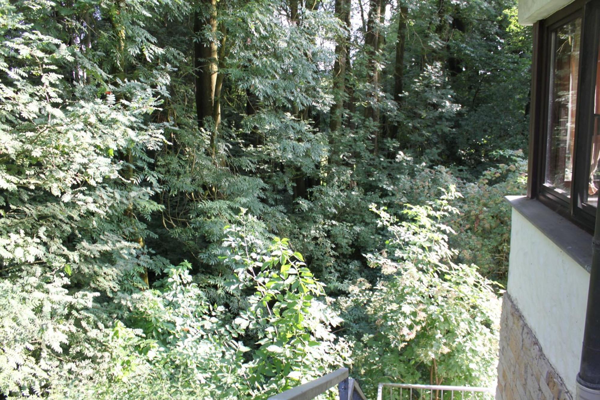Fewo Harling - Waldsamkeit Bad Iburg Exteriör bild